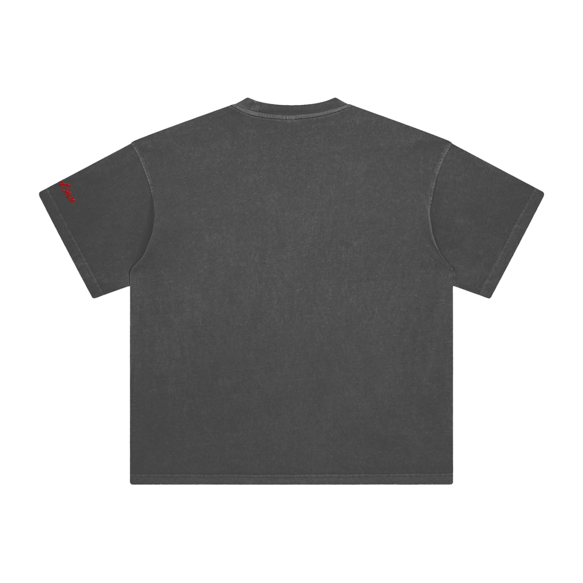 Ezekiel 36 "Disciple" Washed T-Shirt