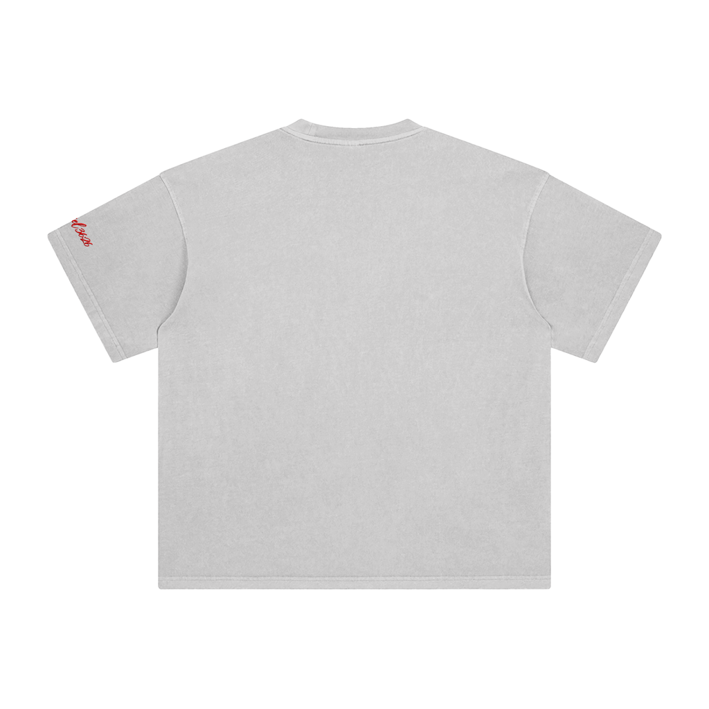 Ezekiel 36 "Disciple" Washed T-Shirt
