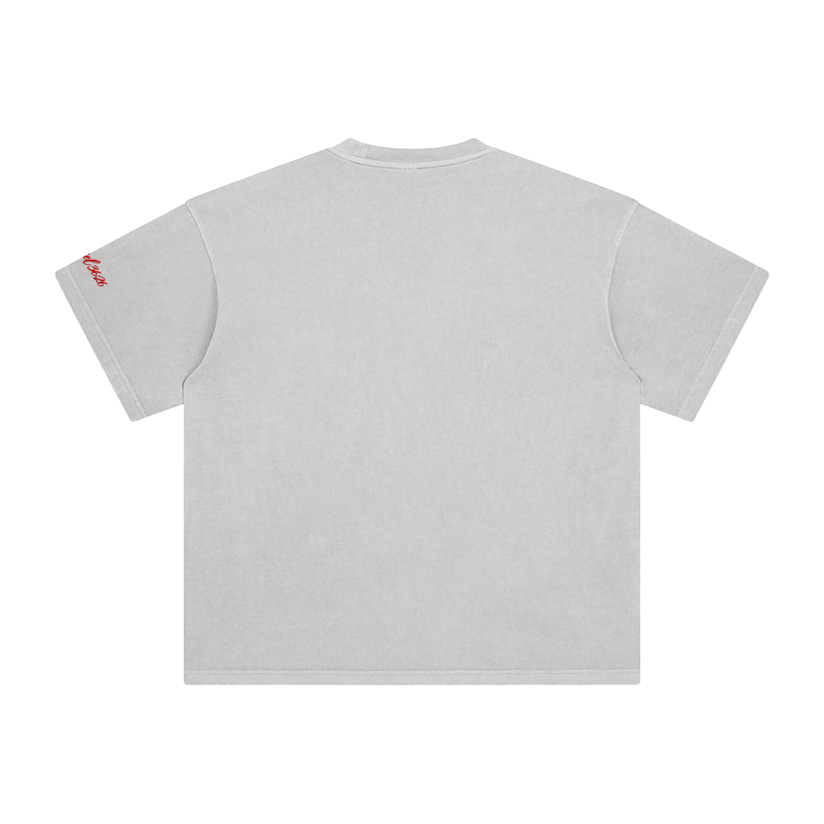 Ezekiel 36 "Disciple" Washed T-Shirt