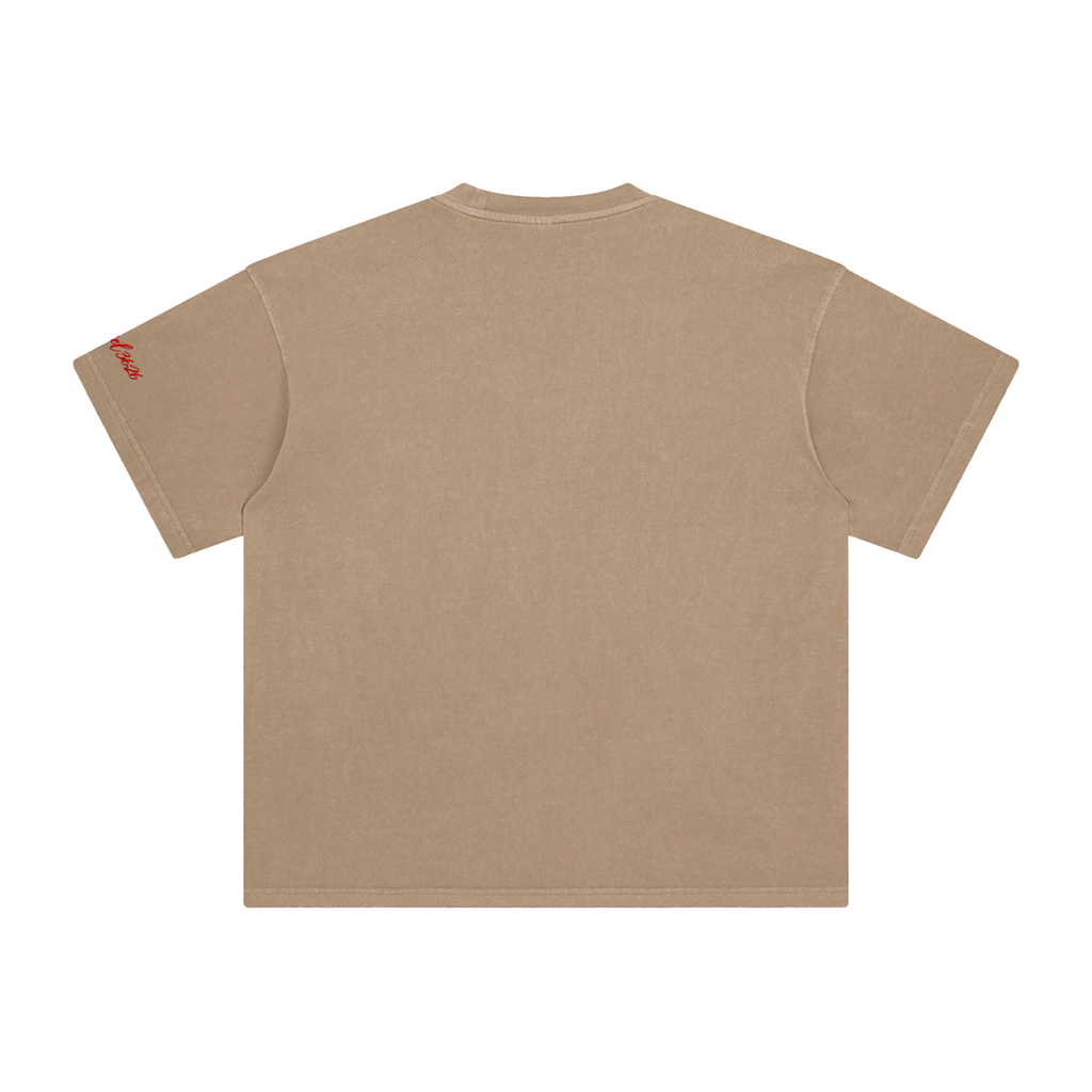 Ezekiel 36 "Disciple" Washed T-Shirt