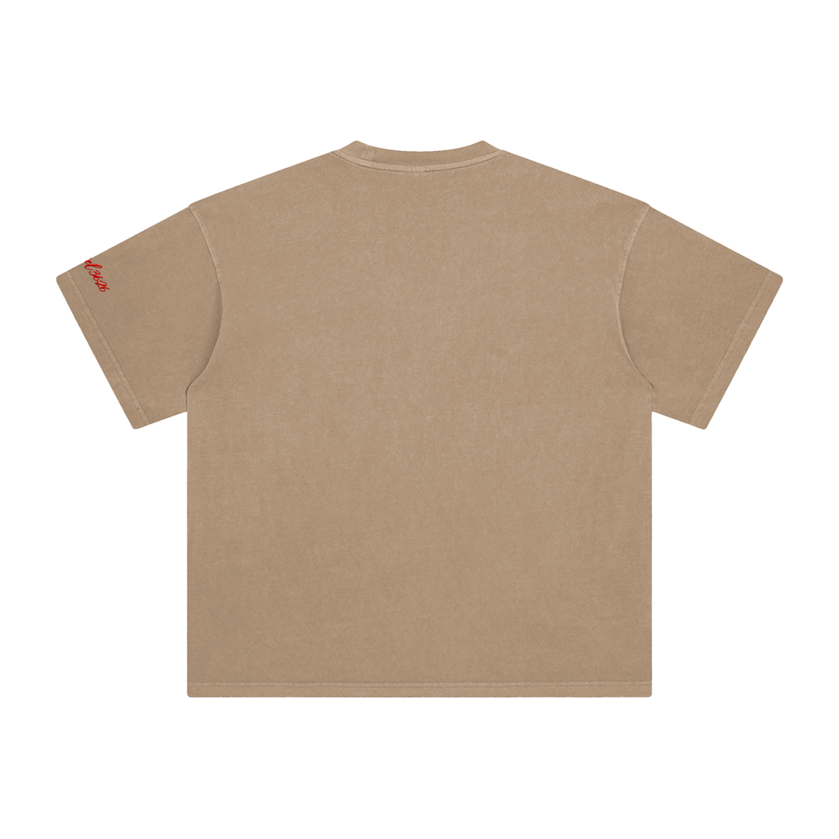 Ezekiel 36 "Disciple" Washed T-Shirt