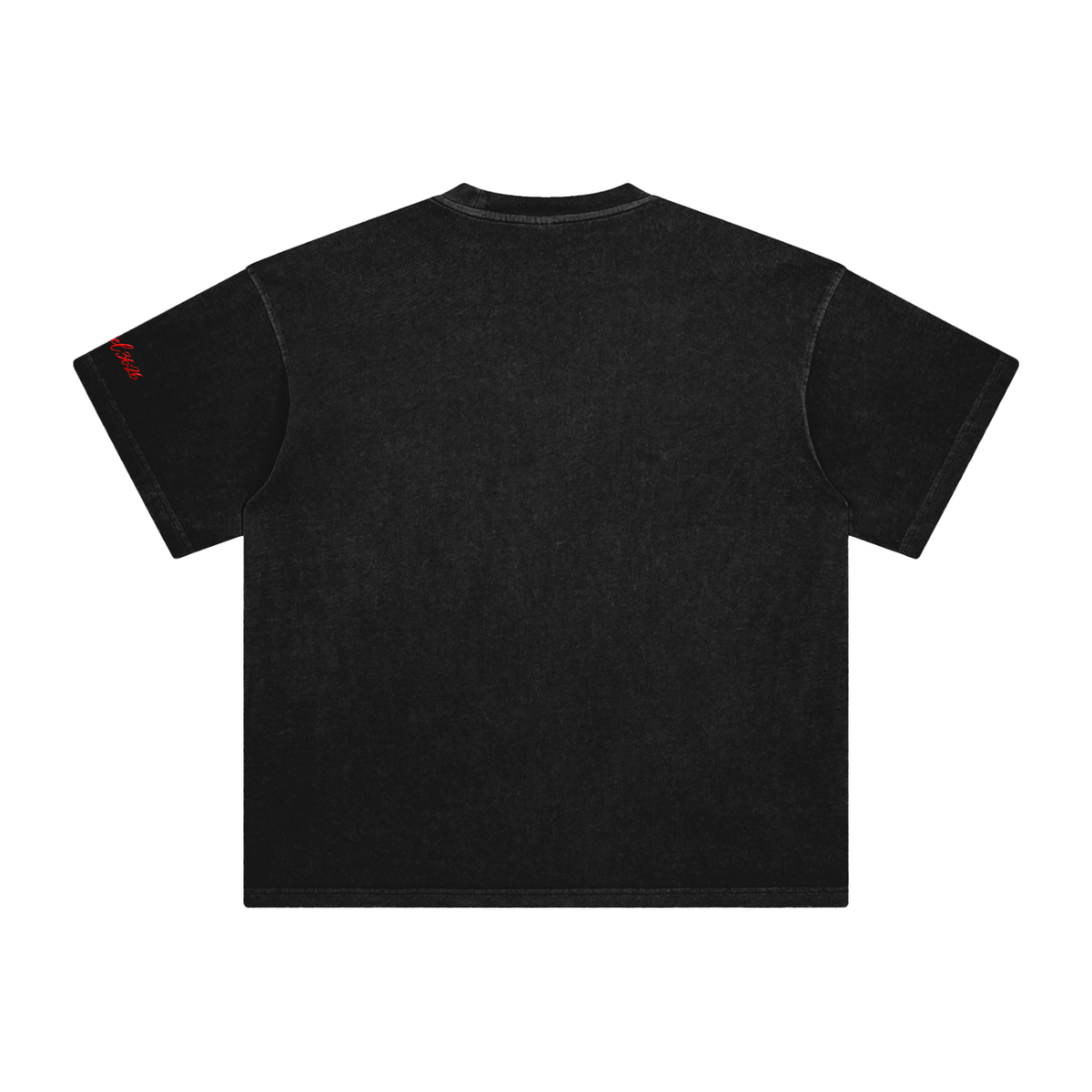 Ezekiel 36 "Disciple" Washed T-Shirt