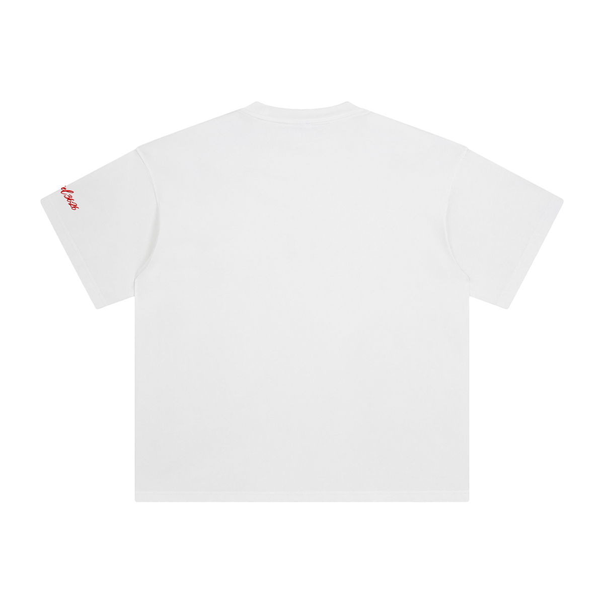 Ezekiel 36 "Disciple" Washed T-Shirt