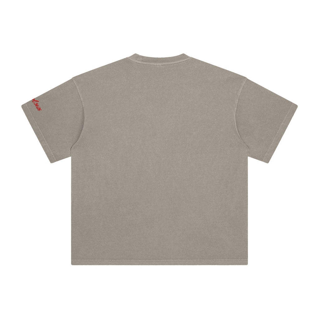 Ezekiel 36 "Disciple" Washed T-Shirt