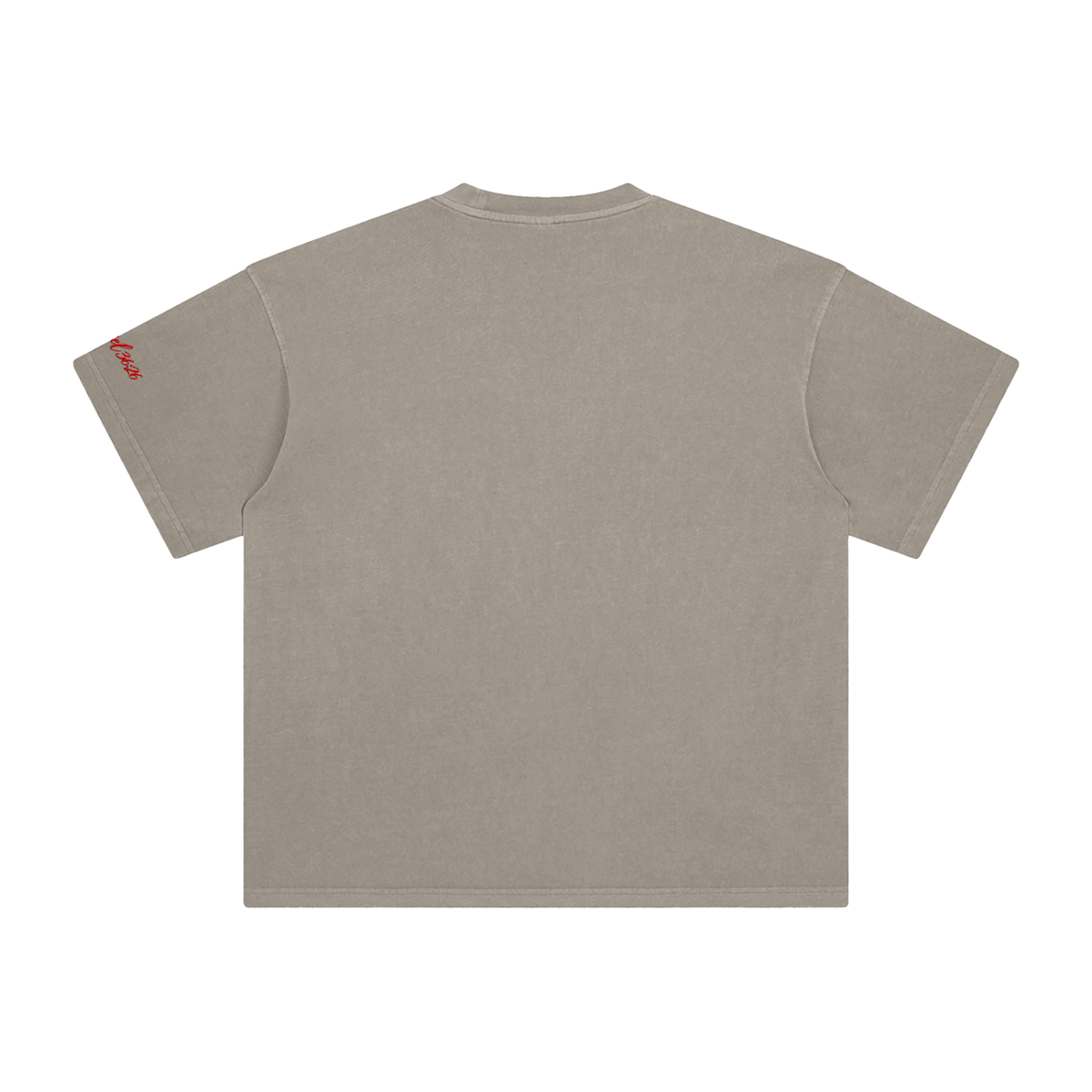 Ezekiel 36 "Disciple" Washed T-Shirt